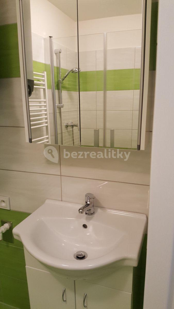 Studio flat to rent, 35 m², U Kavalírky, Prague, Prague