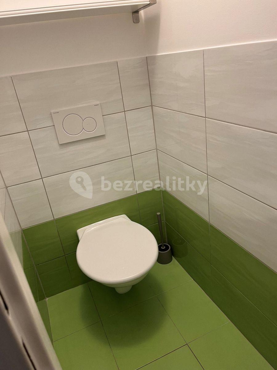 Studio flat to rent, 35 m², U Kavalírky, Prague, Prague