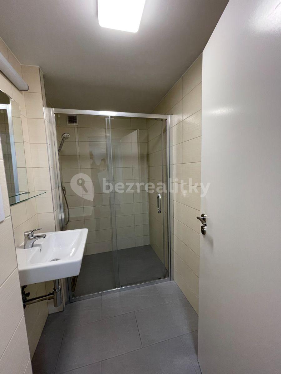 1 bedroom with open-plan kitchen flat to rent, 67 m², Novovysočanská, Prague, Prague