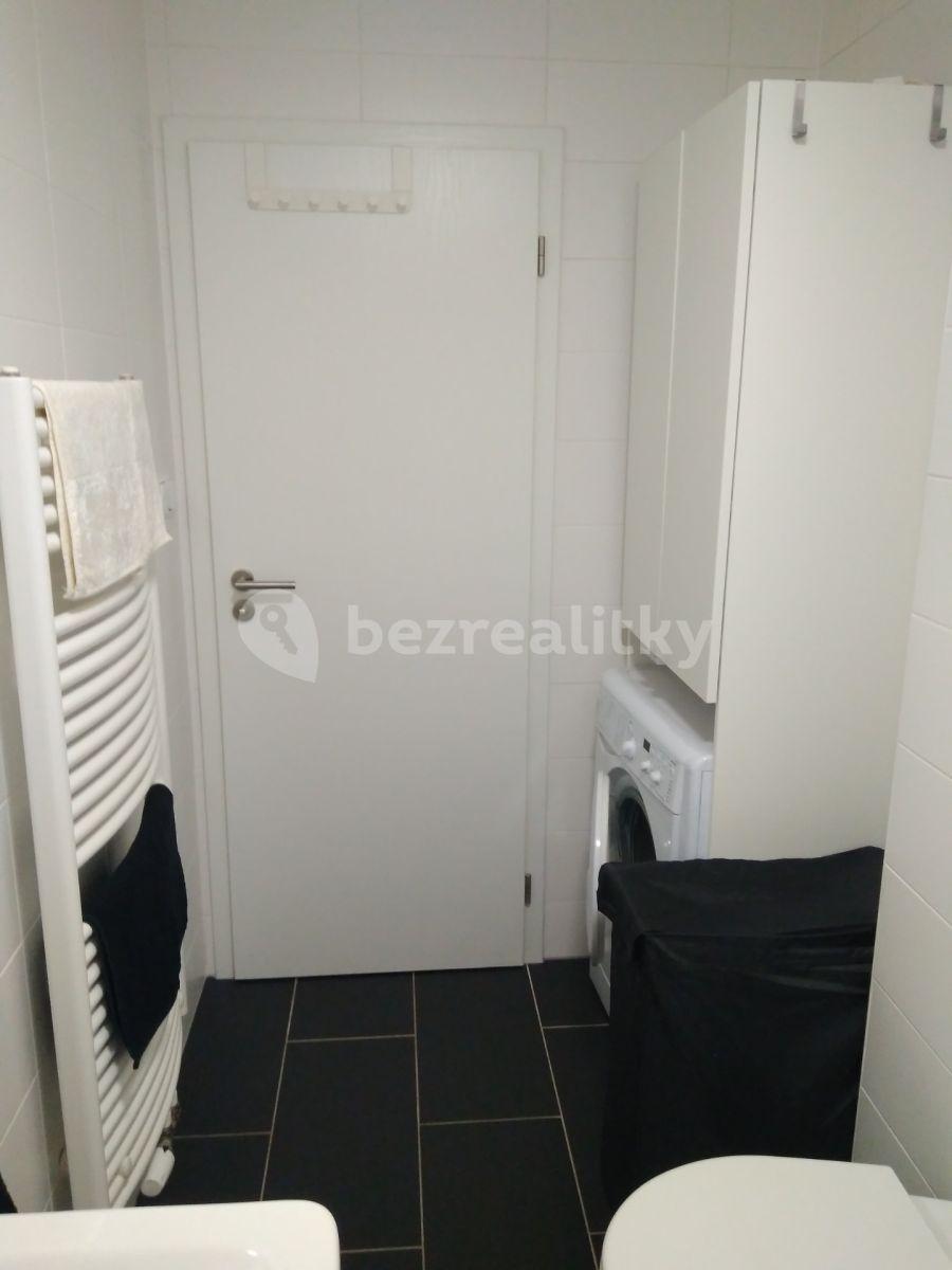 1 bedroom with open-plan kitchen flat to rent, 49 m², Koperníkova, Plzeň, Plzeňský Region