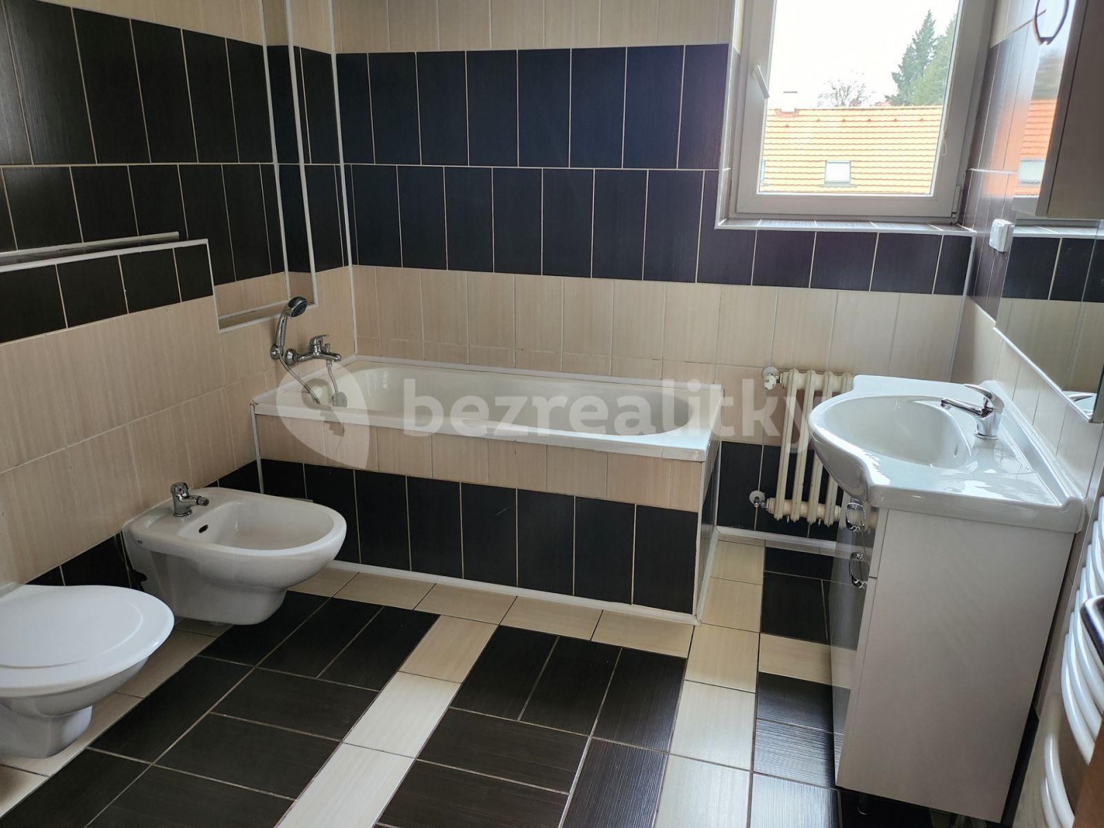 2 bedroom with open-plan kitchen flat to rent, 100 m², Louny, Ústecký Region