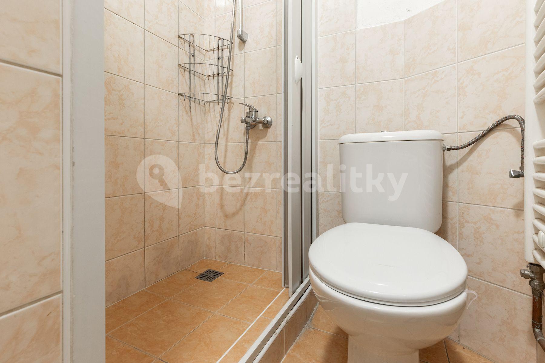 1 bedroom with open-plan kitchen flat for sale, 59 m², Na Ovčinách, Prague, Prague