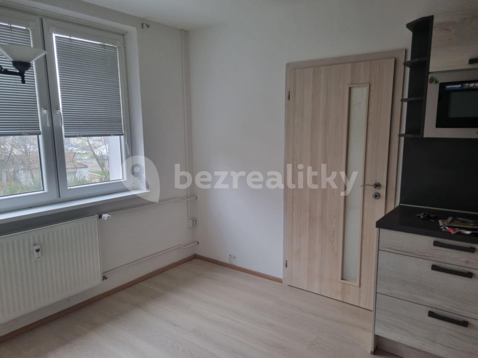 1 bedroom with open-plan kitchen flat to rent, 38 m², Na Brance, Krušovice, Středočeský Region