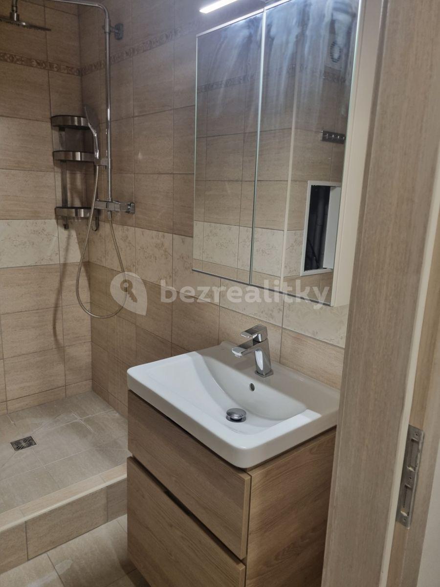 1 bedroom with open-plan kitchen flat to rent, 38 m², Na Brance, Krušovice, Středočeský Region