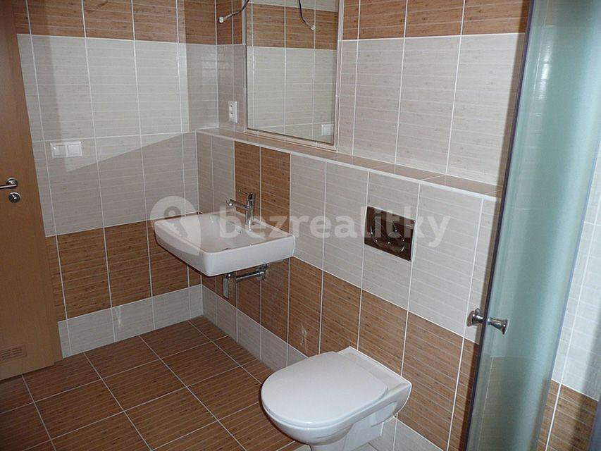 1 bedroom with open-plan kitchen flat to rent, 57 m², V Štíhlách, Prague, Prague