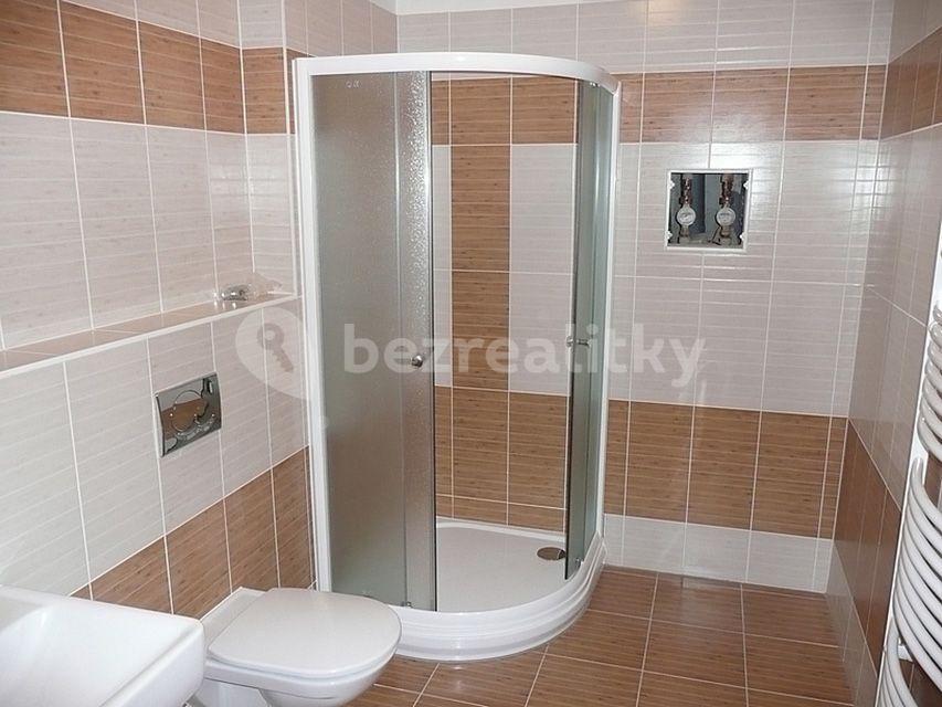 1 bedroom with open-plan kitchen flat to rent, 57 m², V Štíhlách, Prague, Prague