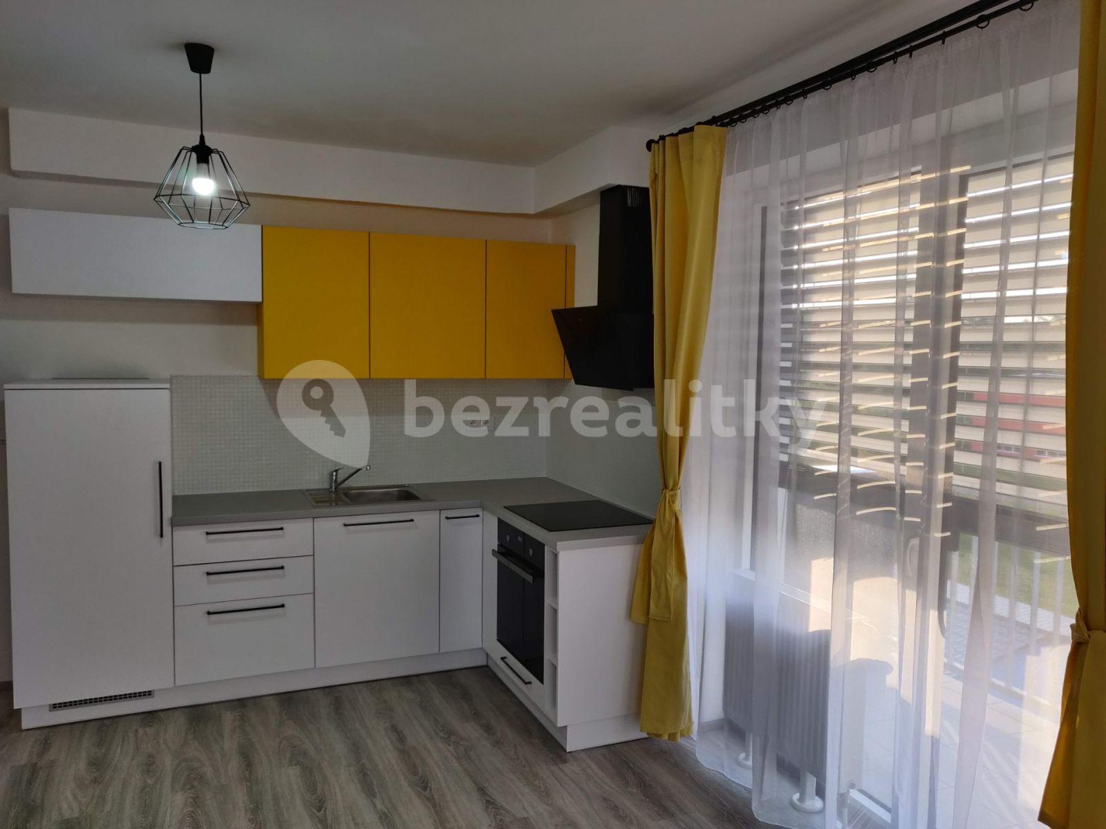 Studio flat to rent, 33 m², Za Černým mostem, Prague, Prague