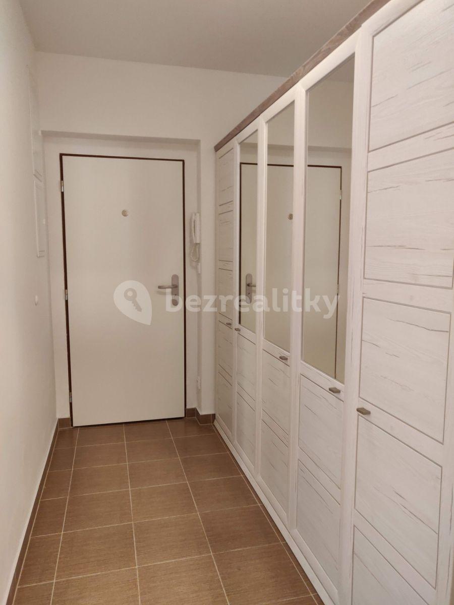 Studio flat to rent, 33 m², Za Černým mostem, Prague, Prague