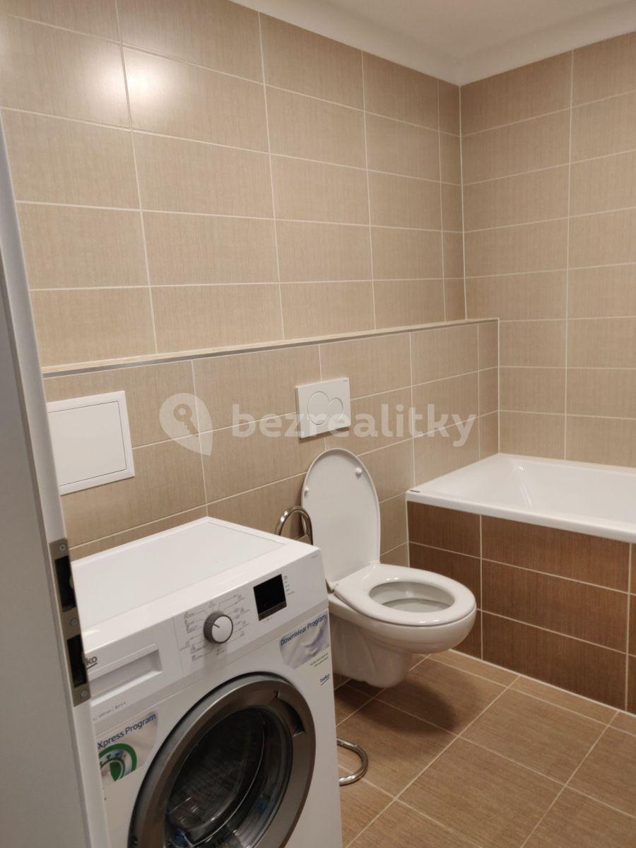 Studio flat to rent, 33 m², Za Černým mostem, Prague, Prague