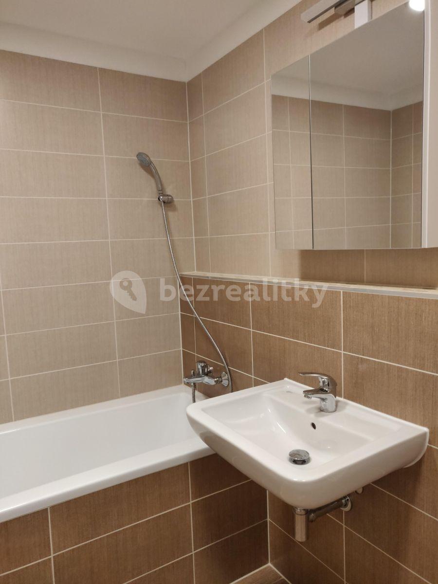 Studio flat to rent, 33 m², Za Černým mostem, Prague, Prague