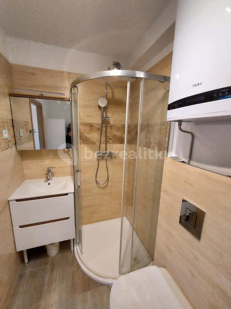 1 bedroom with open-plan kitchen flat to rent, 40 m², Václava Rytíře, Úvaly, Středočeský Region