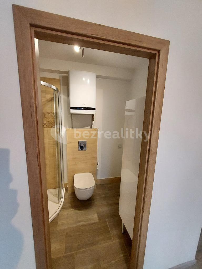 1 bedroom with open-plan kitchen flat to rent, 40 m², Václava Rytíře, Úvaly, Středočeský Region