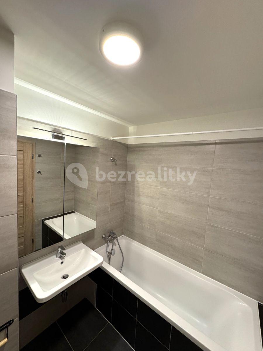 2 bedroom with open-plan kitchen flat to rent, 60 m², Na Líše, Prague, Prague