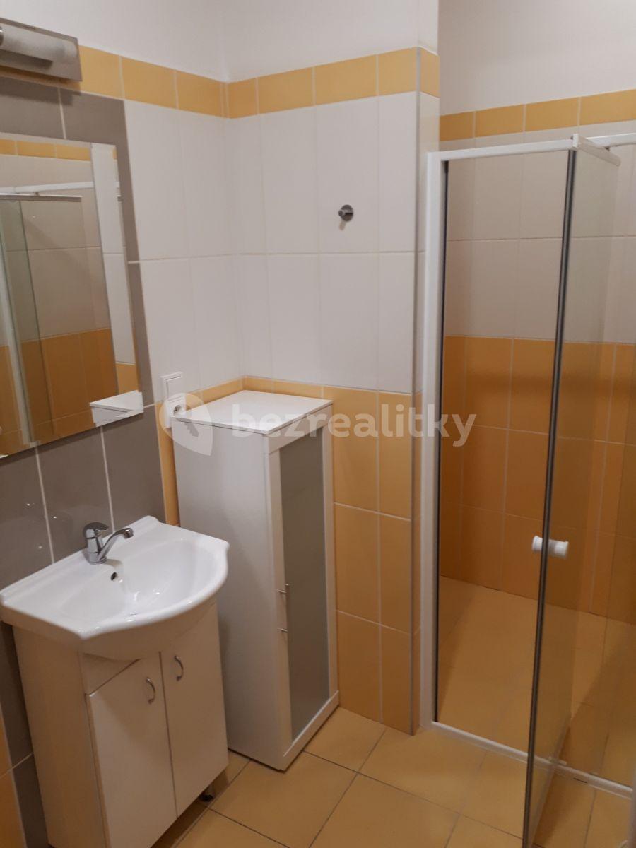 Studio flat to rent, 45 m², třída Národní svobody, Písek, Jihočeský Region