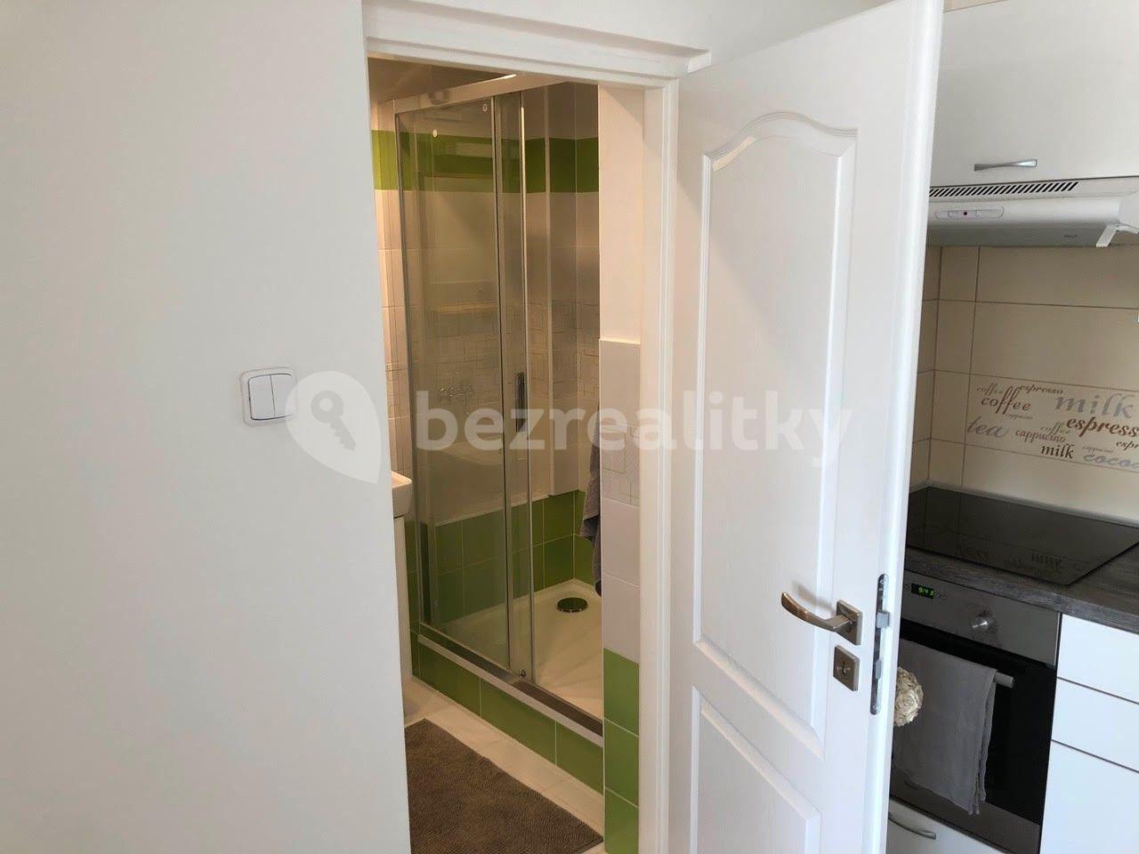 Studio flat to rent, 24 m², Elektrárenská, Prague, Prague