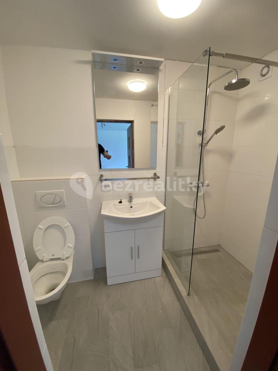 Small studio flat to rent, 21 m², Jižní Ⅱ, Prague, Prague