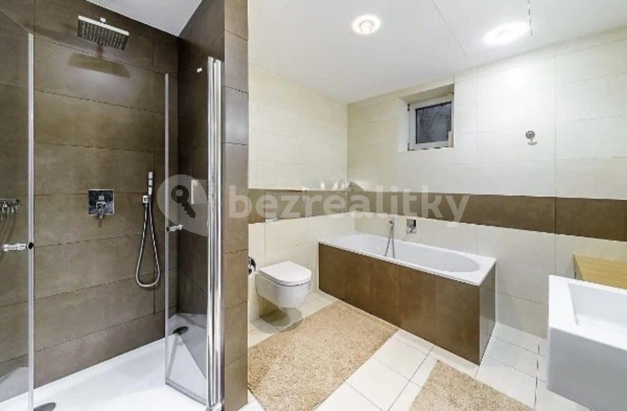 1 bedroom with open-plan kitchen flat to rent, 75 m², Hořejší nábřeží, Prague, Prague