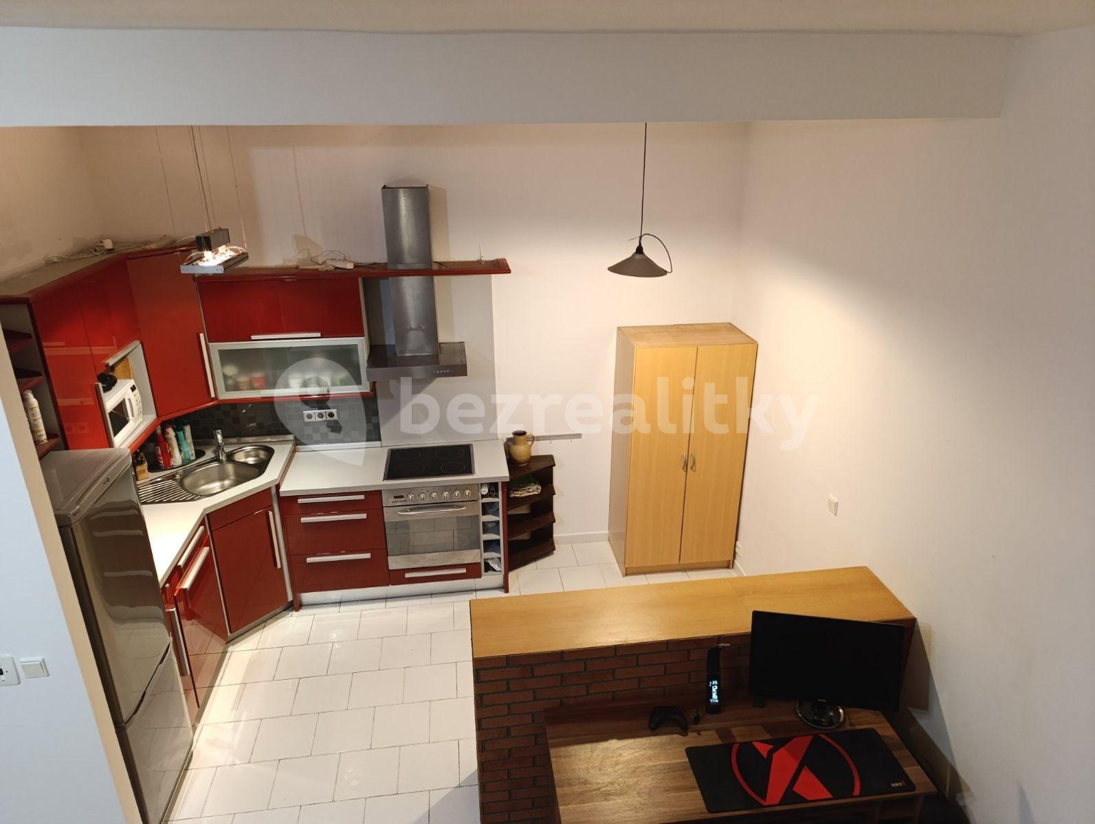 1 bedroom with open-plan kitchen flat to rent, 56 m², Komenského, Šestajovice, Středočeský Region