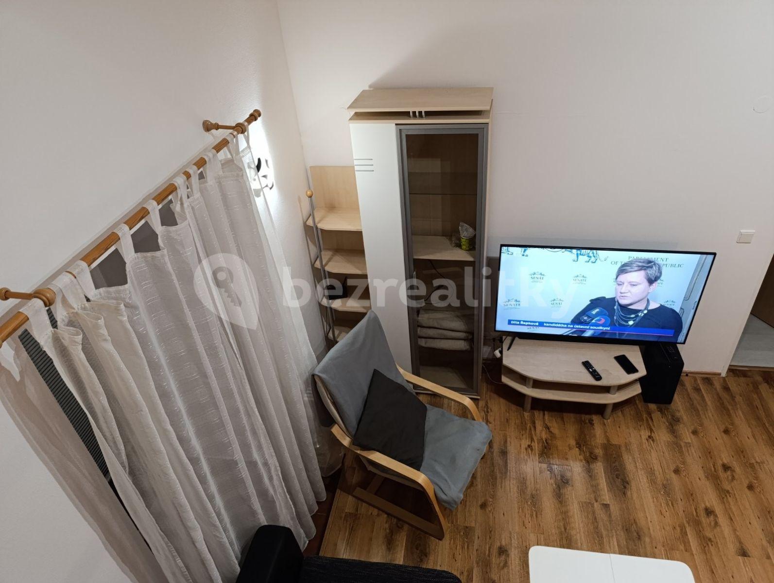 1 bedroom with open-plan kitchen flat to rent, 56 m², Komenského, Šestajovice, Středočeský Region