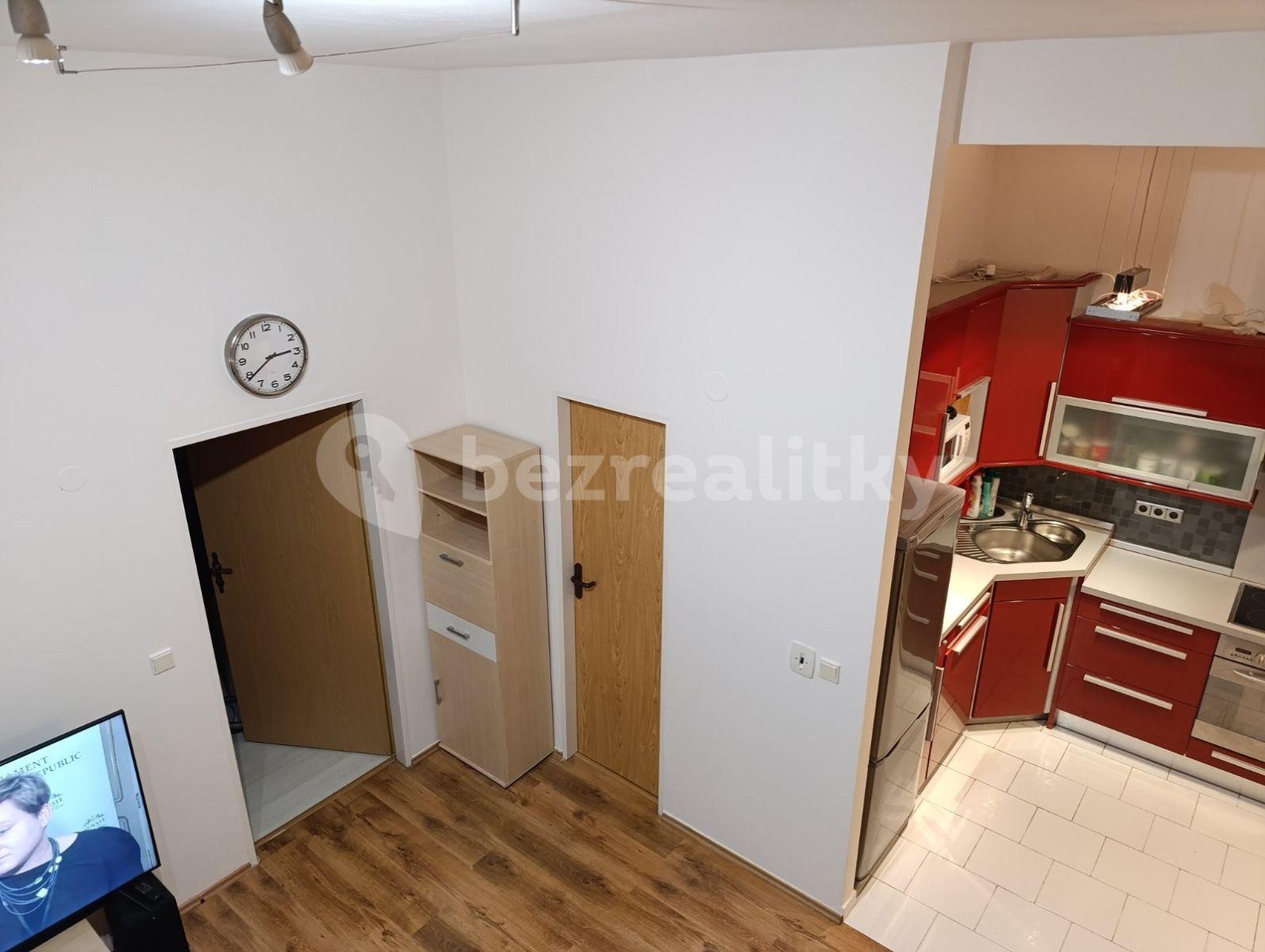 1 bedroom with open-plan kitchen flat to rent, 56 m², Komenského, Šestajovice, Středočeský Region