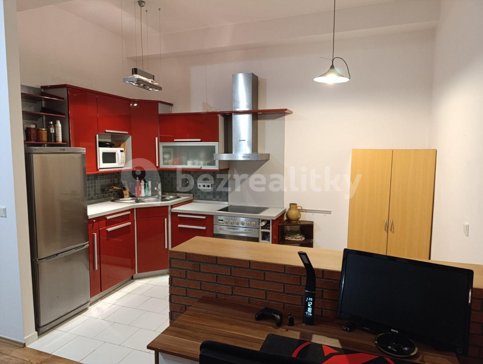 1 bedroom with open-plan kitchen flat to rent, 56 m², Komenského, Šestajovice, Středočeský Region