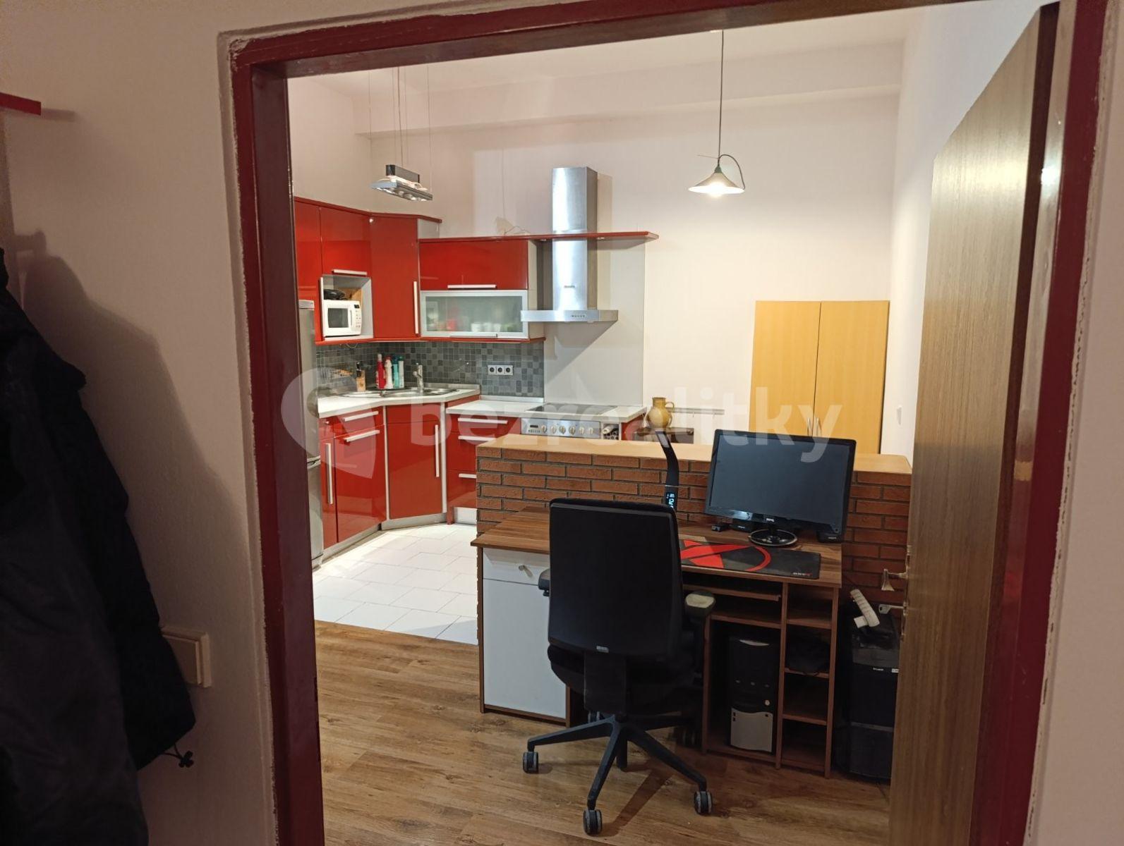 1 bedroom with open-plan kitchen flat to rent, 56 m², Komenského, Šestajovice, Středočeský Region