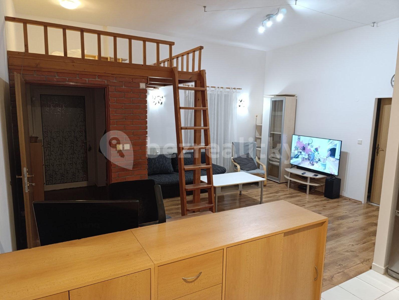 1 bedroom with open-plan kitchen flat to rent, 56 m², Komenského, Šestajovice, Středočeský Region