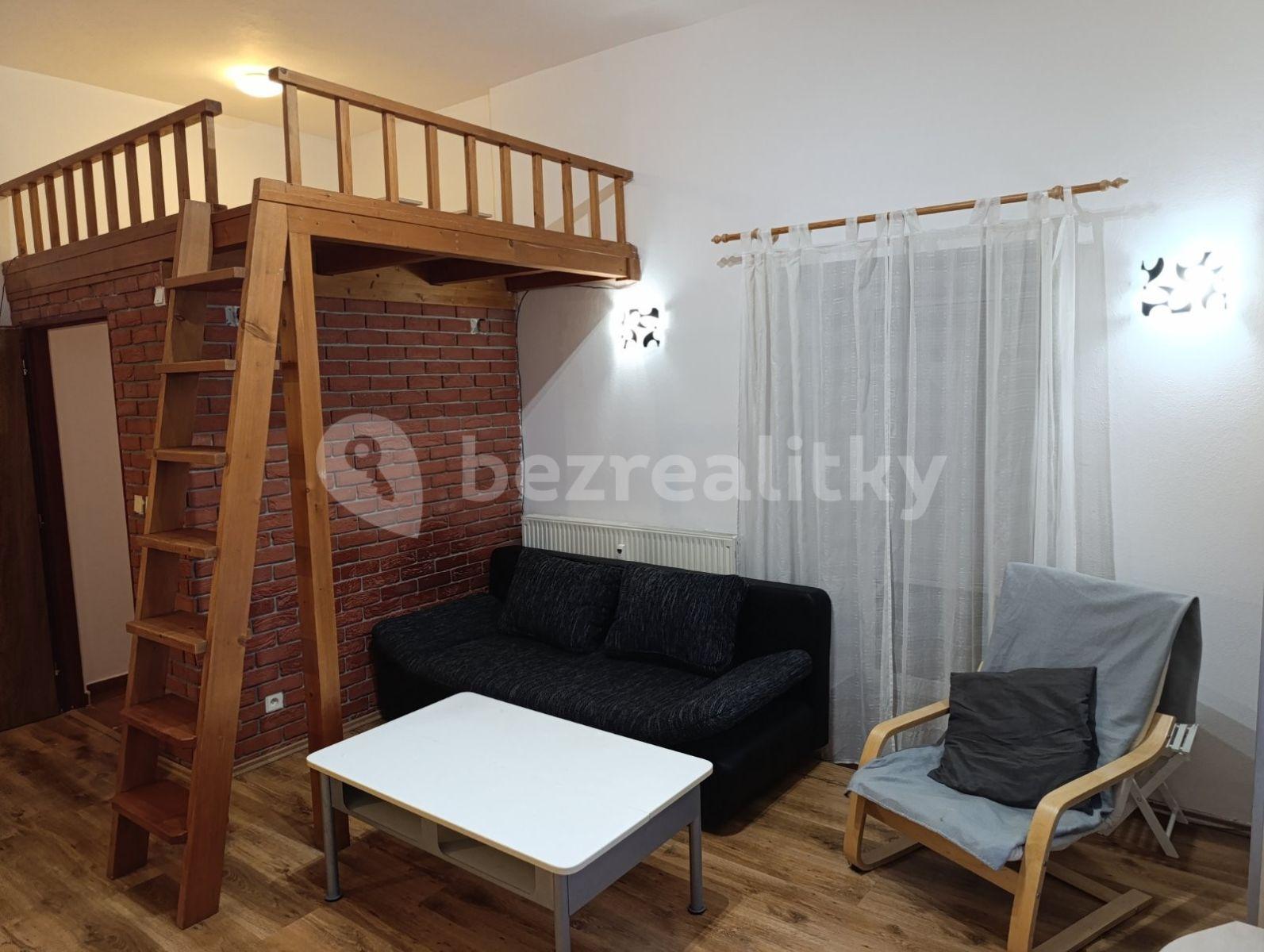 1 bedroom with open-plan kitchen flat to rent, 56 m², Komenského, Šestajovice, Středočeský Region