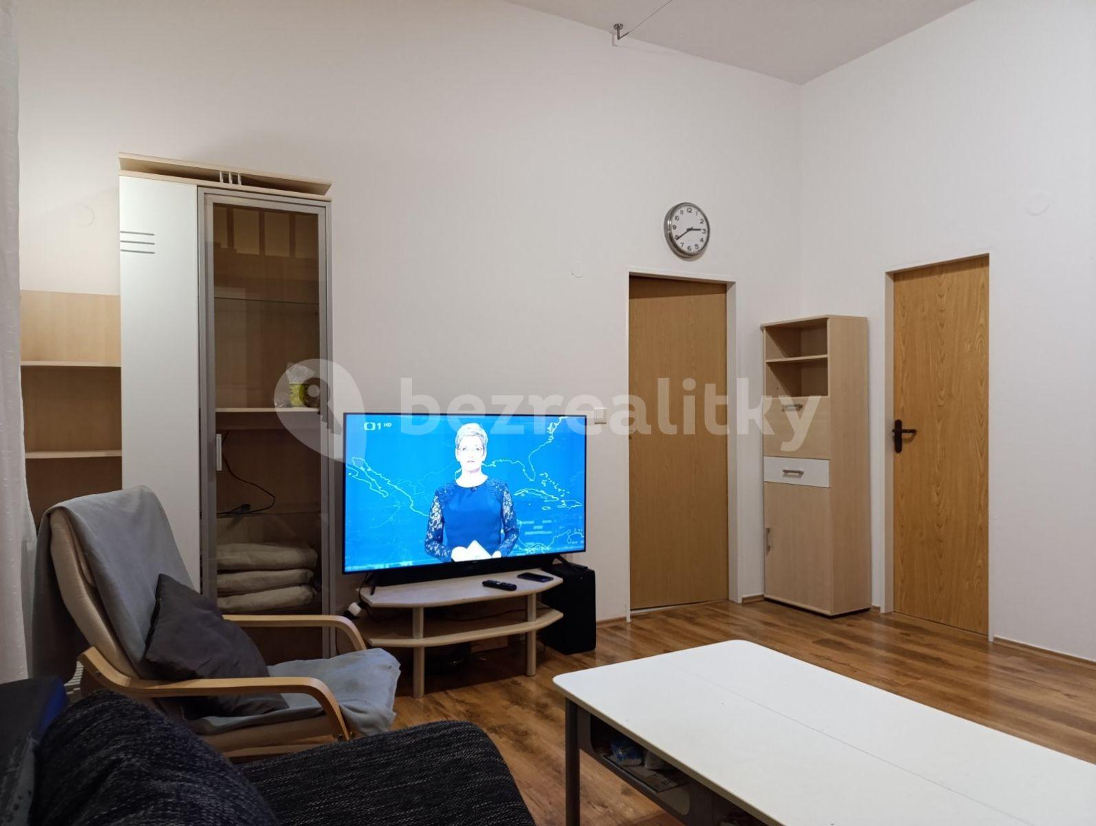 1 bedroom with open-plan kitchen flat to rent, 56 m², Komenského, Šestajovice, Středočeský Region