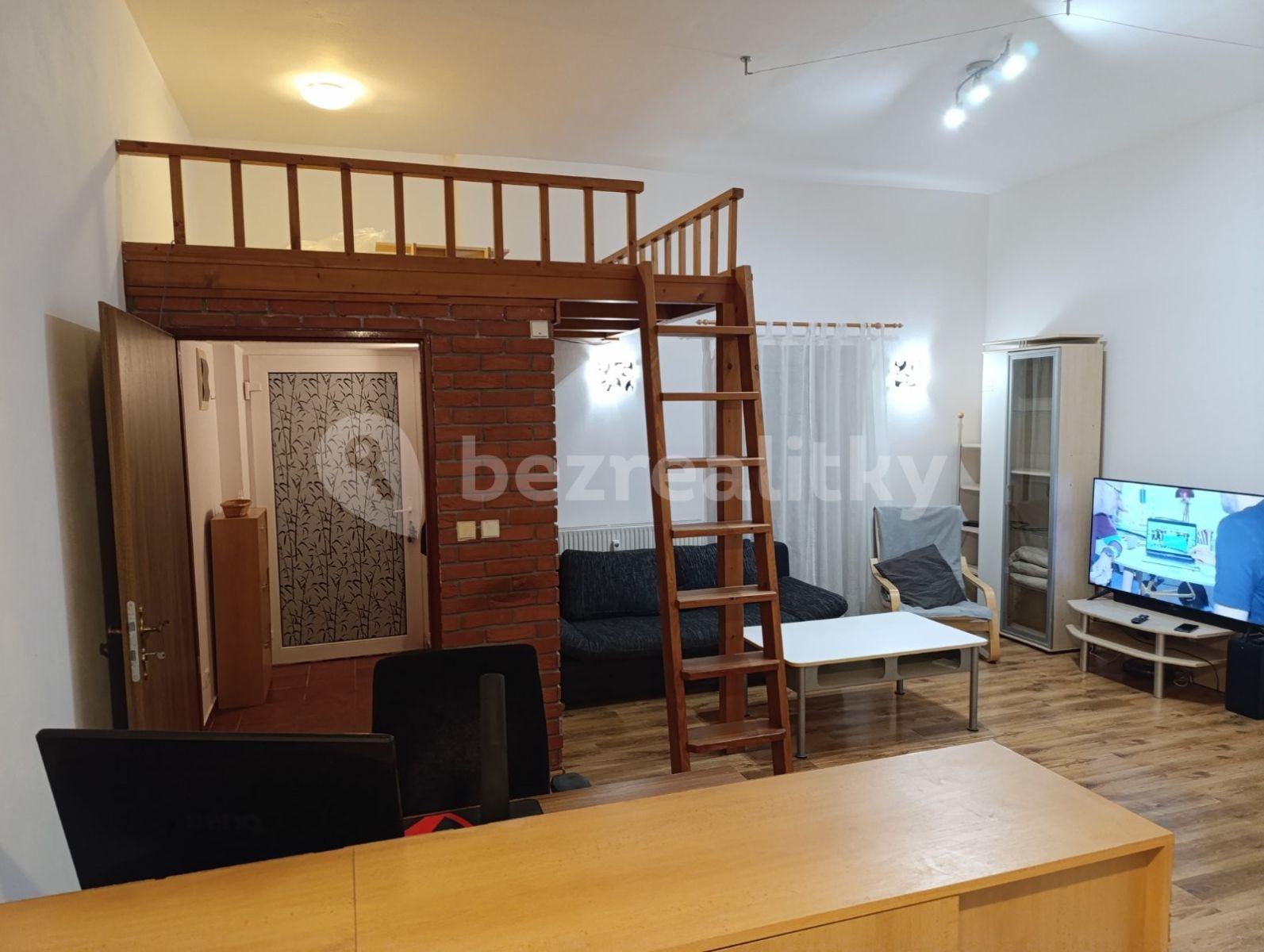 1 bedroom with open-plan kitchen flat to rent, 56 m², Komenského, Šestajovice, Středočeský Region