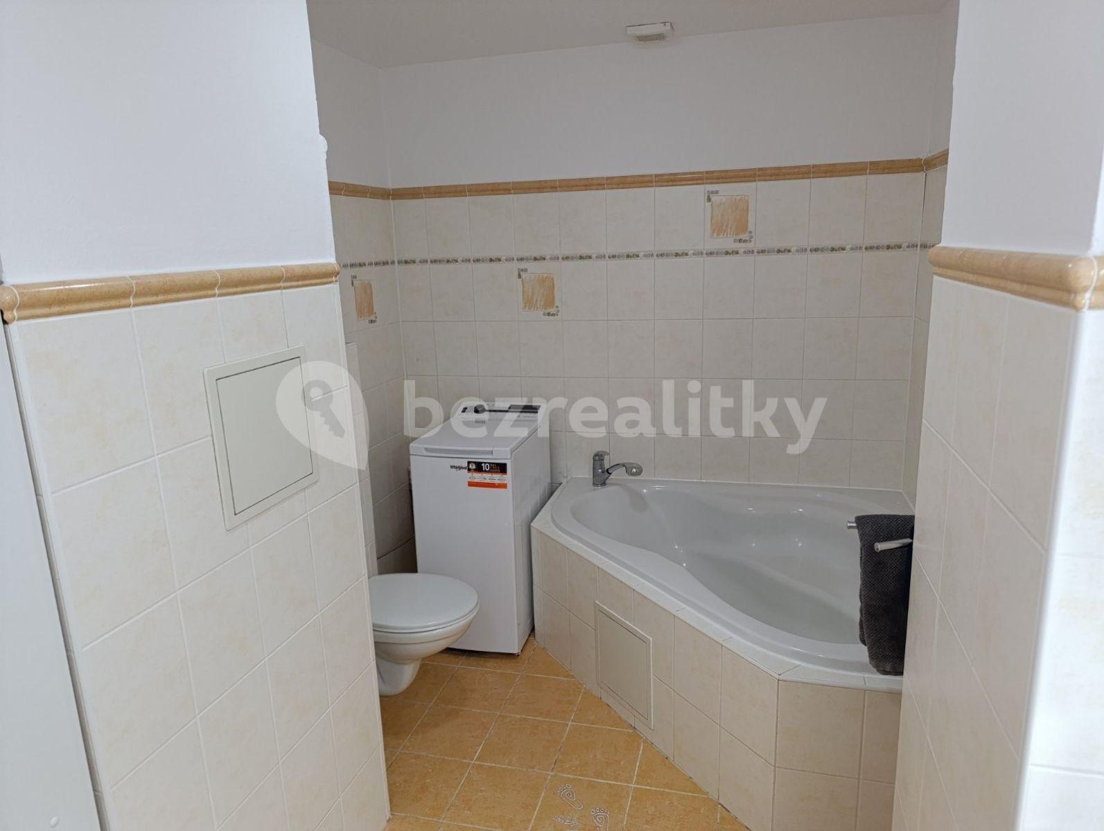 1 bedroom with open-plan kitchen flat to rent, 56 m², Komenského, Šestajovice, Středočeský Region