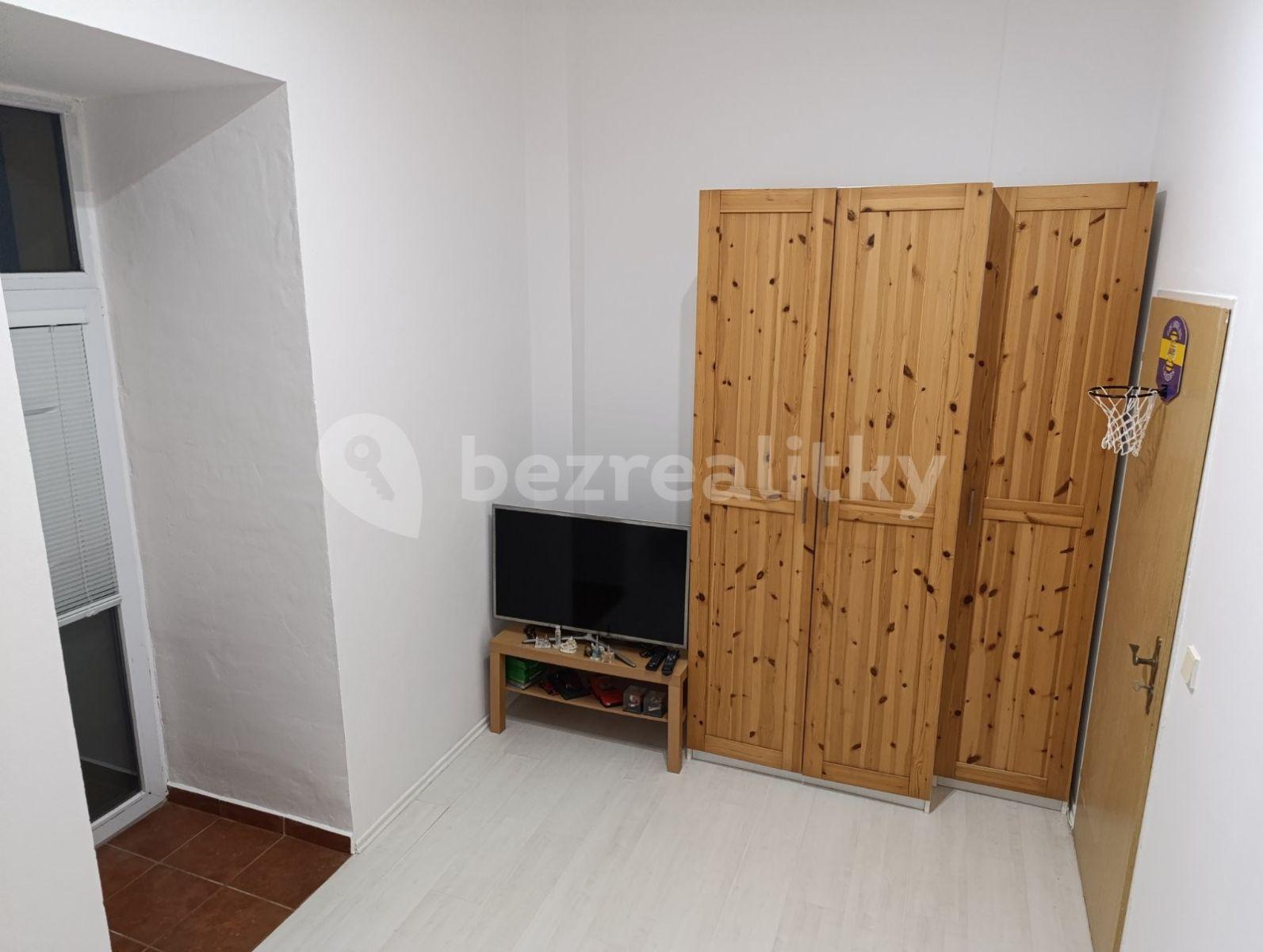 1 bedroom with open-plan kitchen flat to rent, 56 m², Komenského, Šestajovice, Středočeský Region