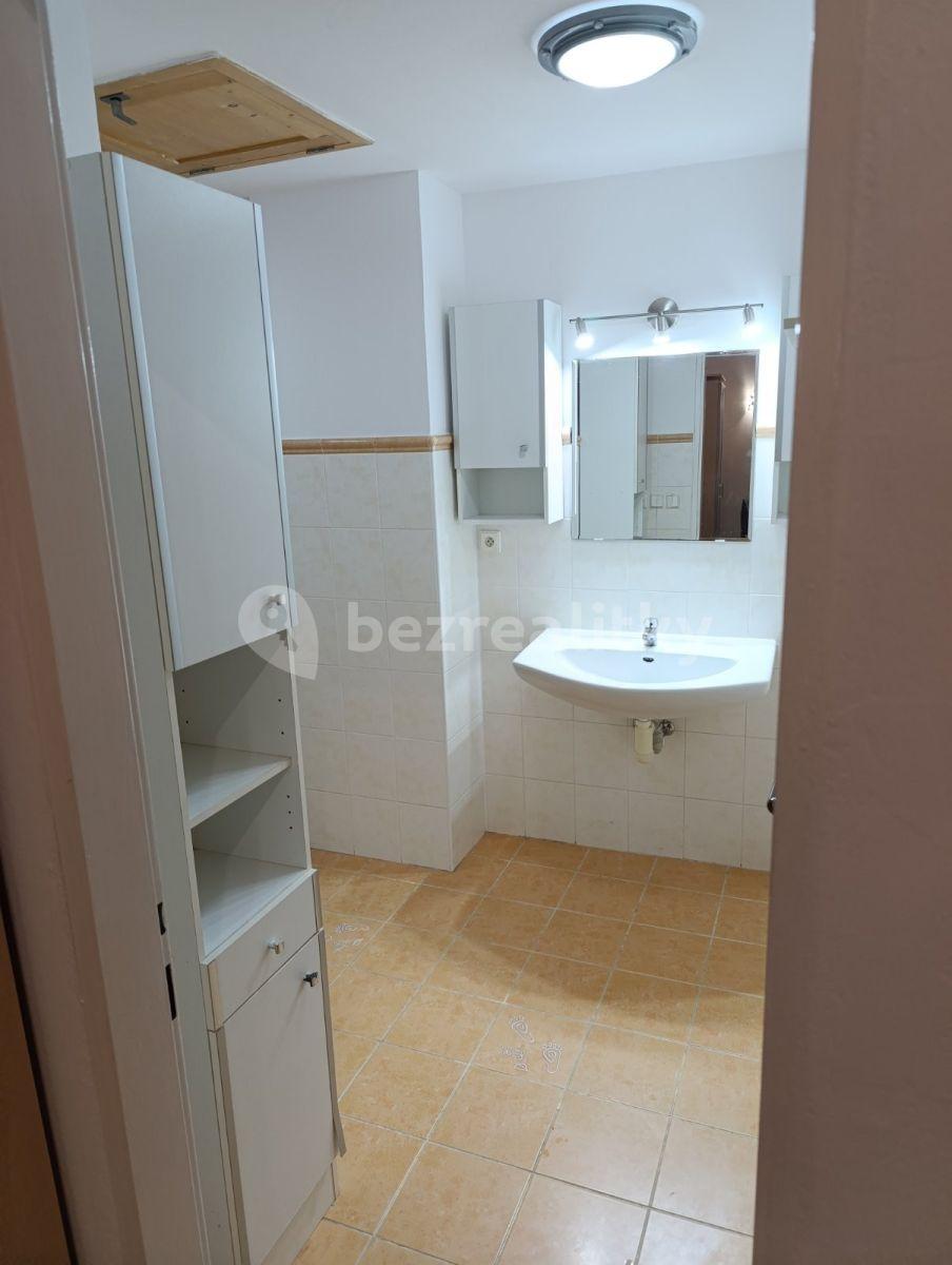 1 bedroom with open-plan kitchen flat to rent, 56 m², Komenského, Šestajovice, Středočeský Region