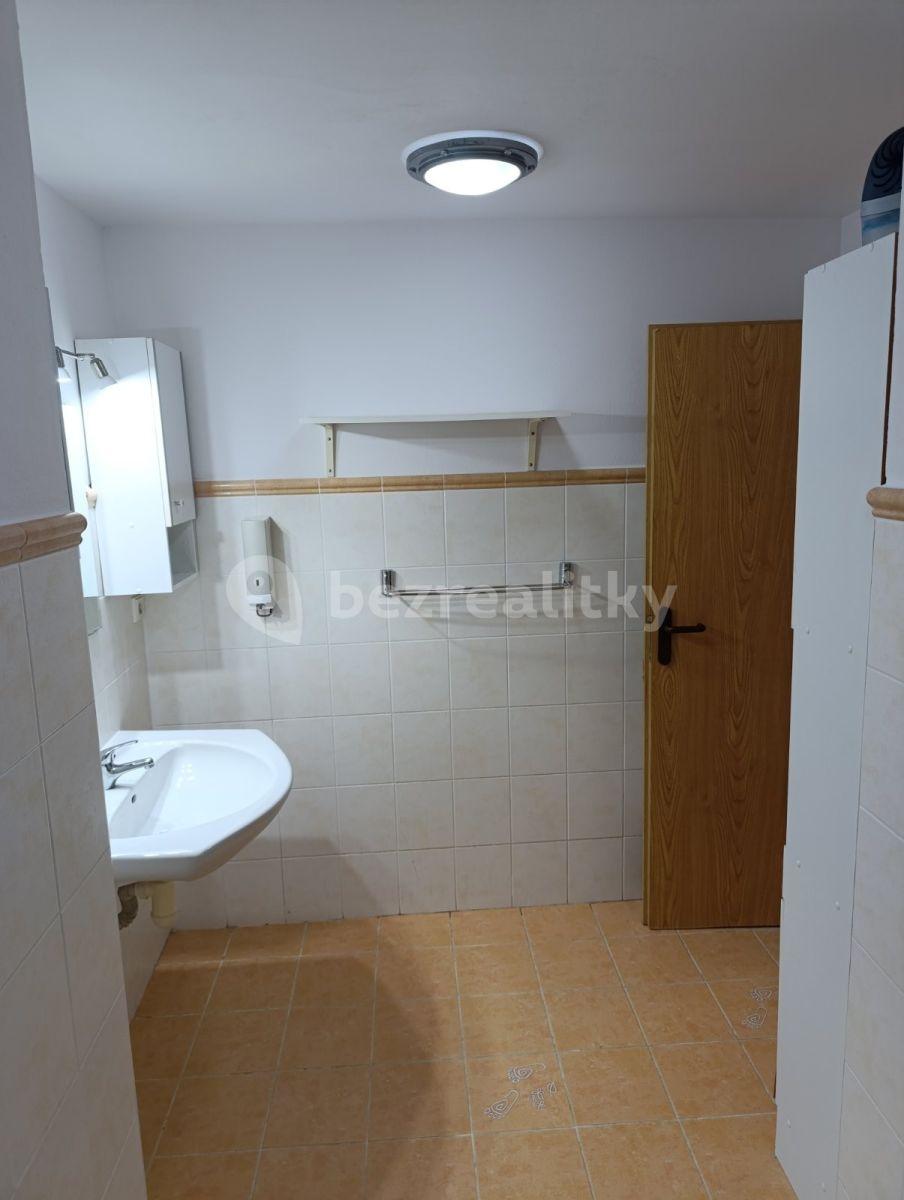 1 bedroom with open-plan kitchen flat to rent, 56 m², Komenského, Šestajovice, Středočeský Region