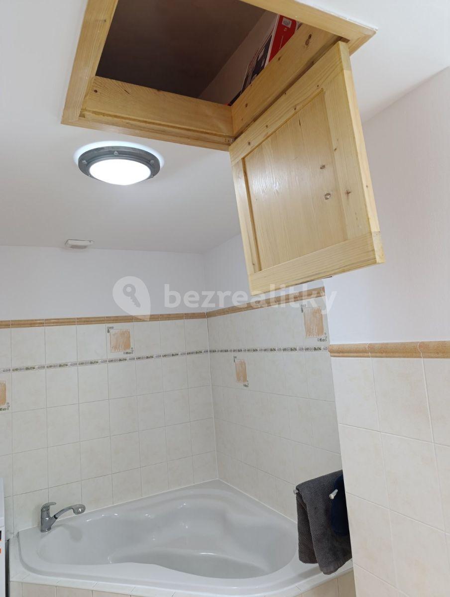 1 bedroom with open-plan kitchen flat to rent, 56 m², Komenského, Šestajovice, Středočeský Region