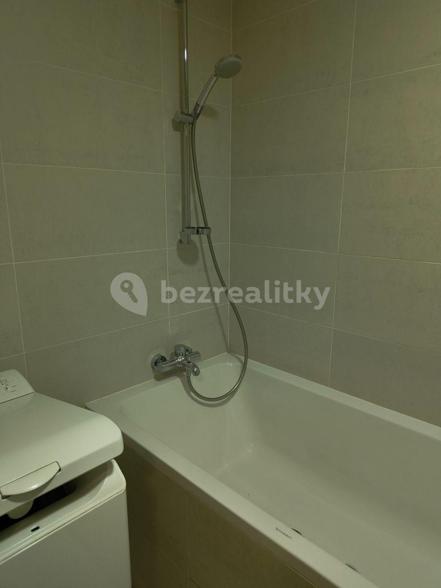 1 bedroom with open-plan kitchen flat to rent, 62 m², Pitterova, Prague, Prague