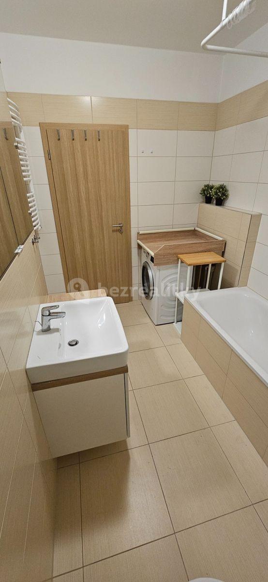 1 bedroom with open-plan kitchen flat to rent, 54 m², Makedonská, Prague, Prague