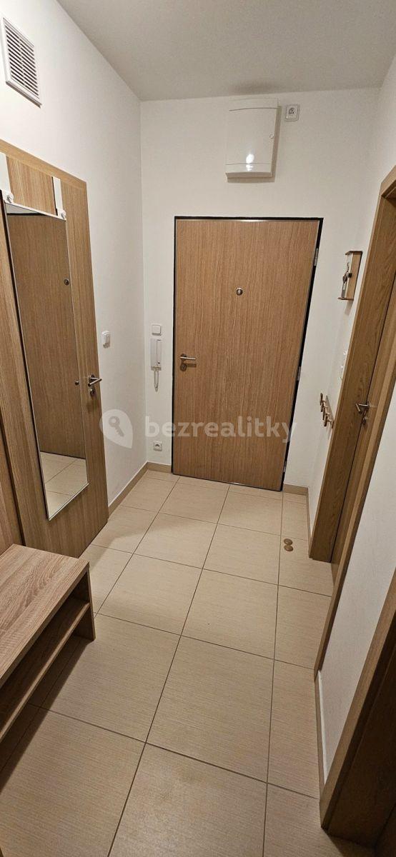 1 bedroom with open-plan kitchen flat to rent, 54 m², Makedonská, Prague, Prague