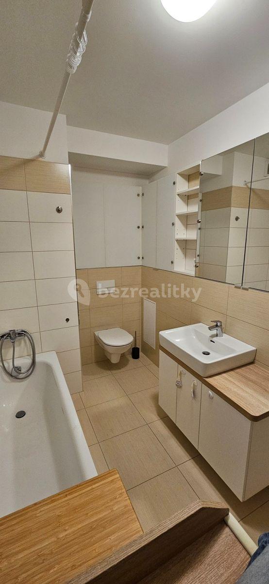 1 bedroom with open-plan kitchen flat to rent, 54 m², Makedonská, Prague, Prague