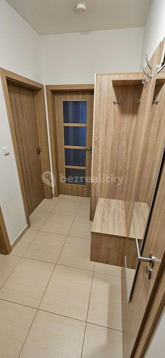 1 bedroom with open-plan kitchen flat to rent, 54 m², Makedonská, Prague, Prague