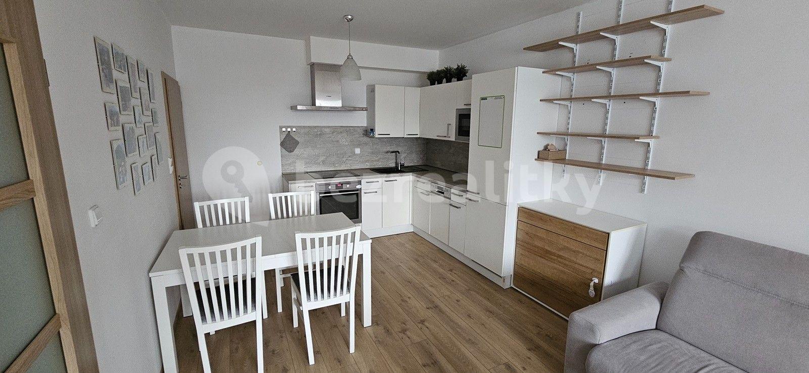 1 bedroom with open-plan kitchen flat to rent, 54 m², Makedonská, Prague, Prague