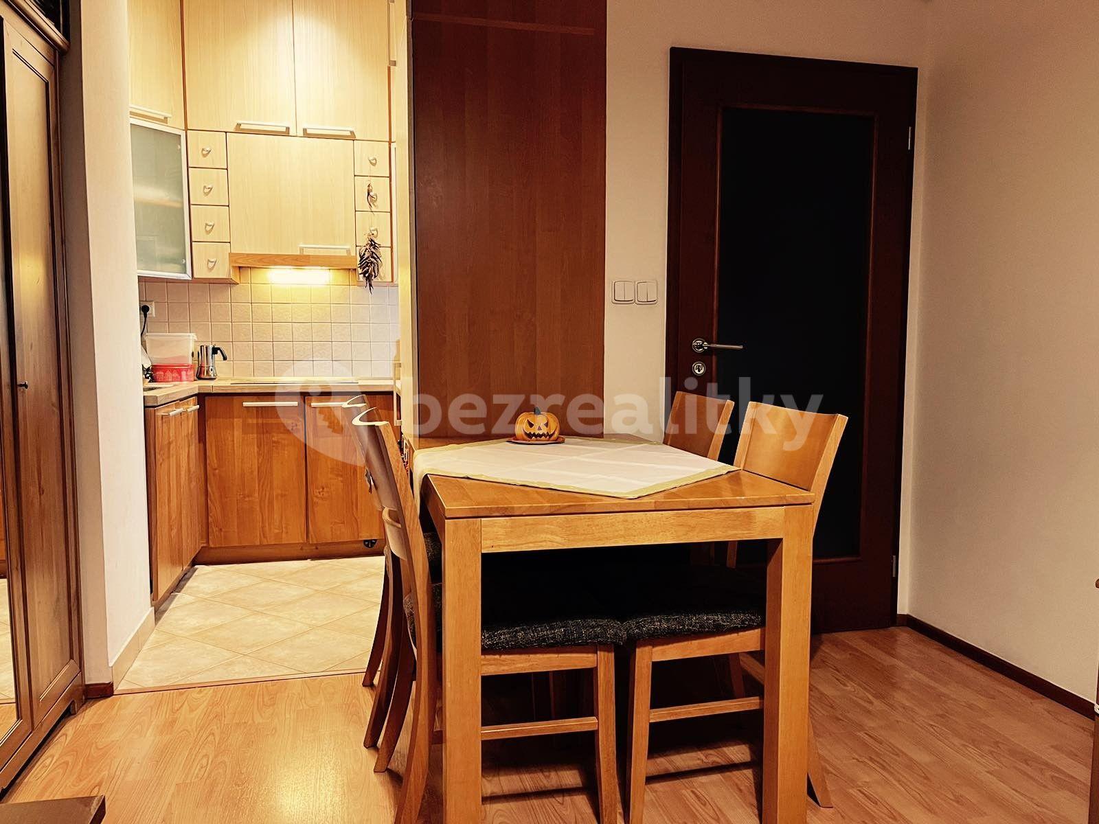 1 bedroom with open-plan kitchen flat to rent, 41 m², Plzeňská, Prague, Prague