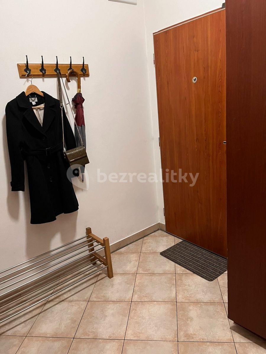 1 bedroom with open-plan kitchen flat to rent, 41 m², Plzeňská, Prague, Prague