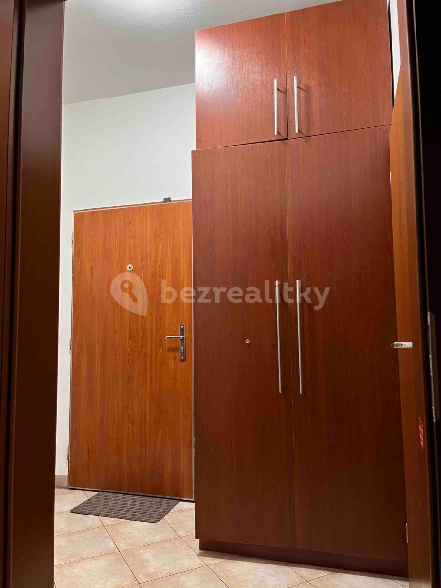 1 bedroom with open-plan kitchen flat to rent, 41 m², Plzeňská, Prague, Prague