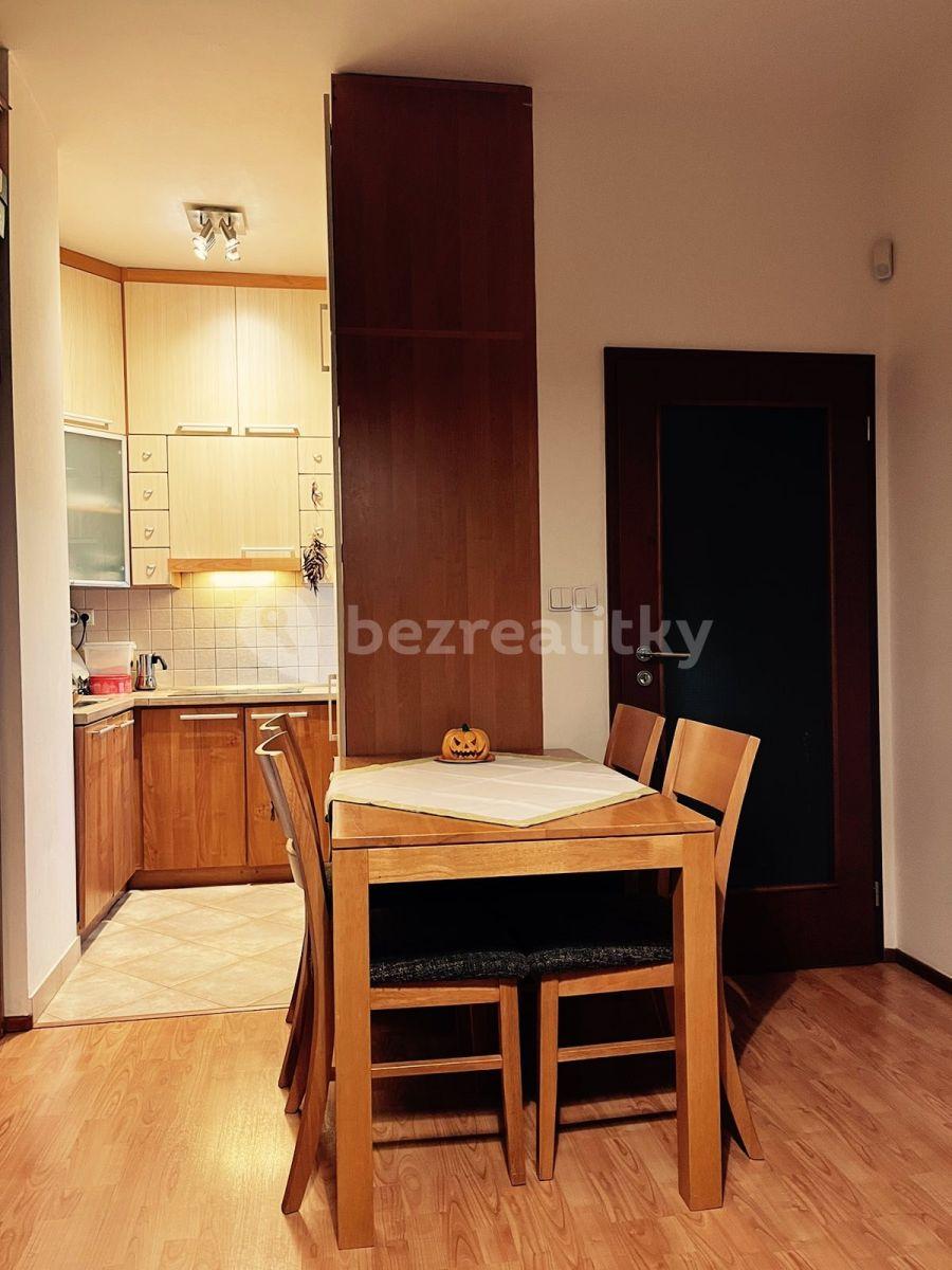 1 bedroom with open-plan kitchen flat to rent, 41 m², Plzeňská, Prague, Prague