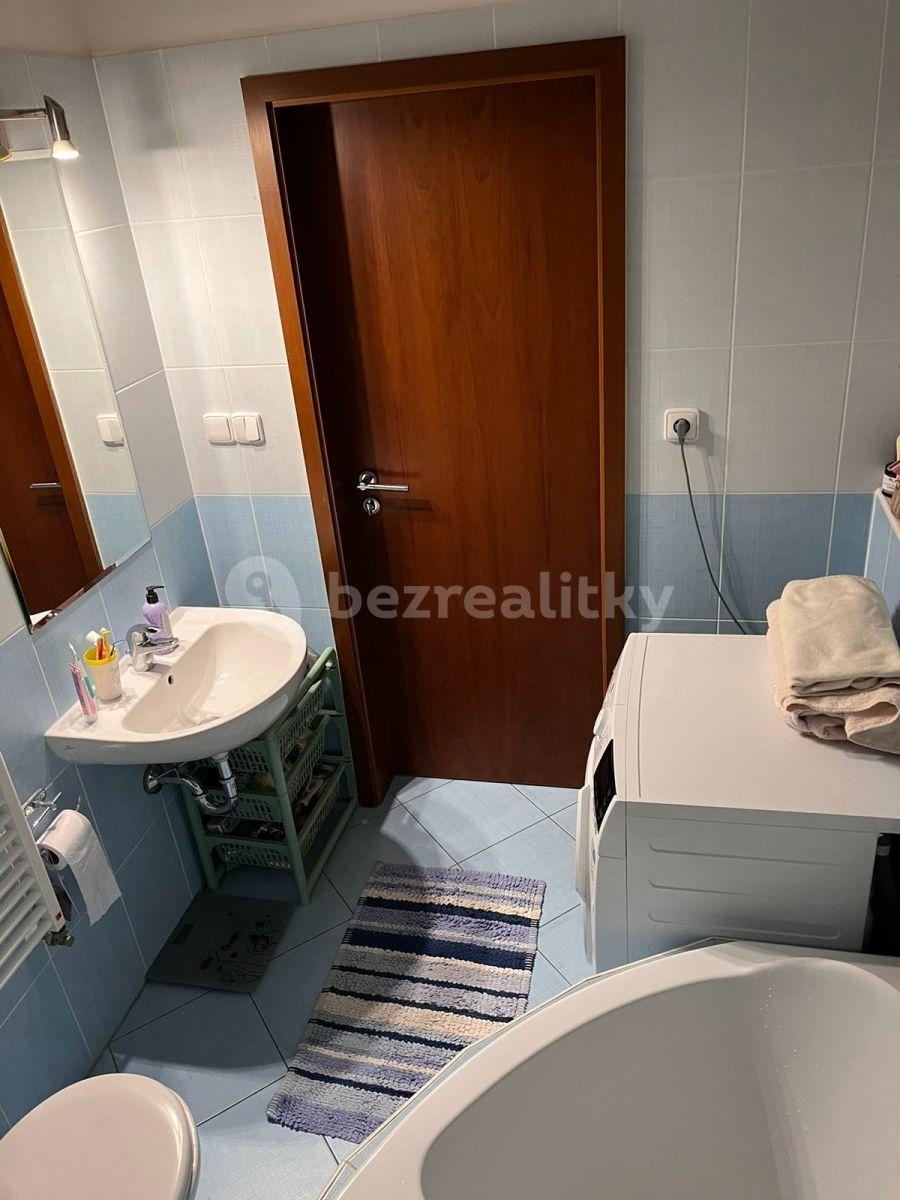 1 bedroom with open-plan kitchen flat to rent, 41 m², Plzeňská, Prague, Prague