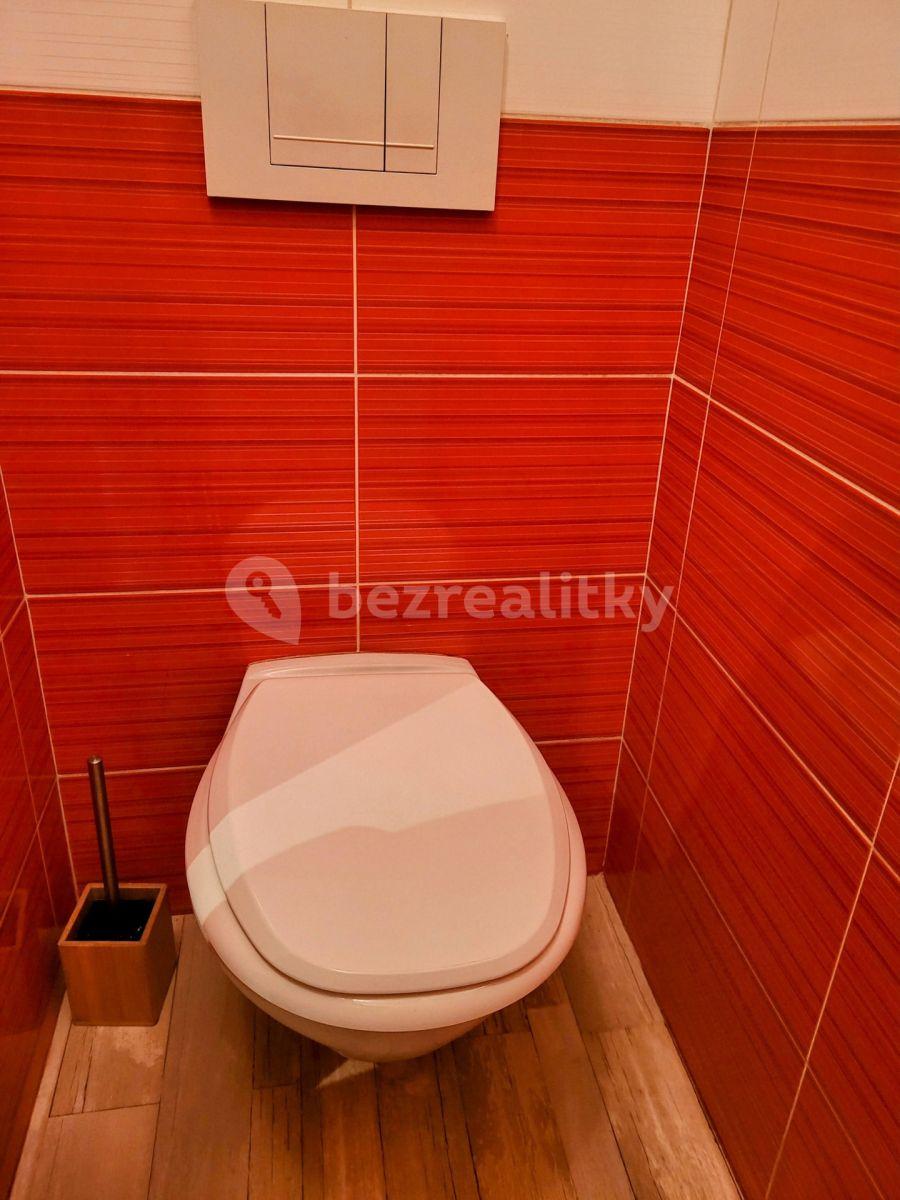 2 bedroom with open-plan kitchen flat to rent, 62 m², U Mrázovky, Prague, Prague