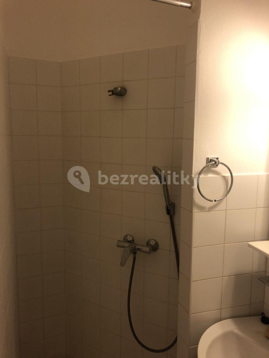 1 bedroom with open-plan kitchen flat to rent, 38 m², Žitomírská, Prague, Prague