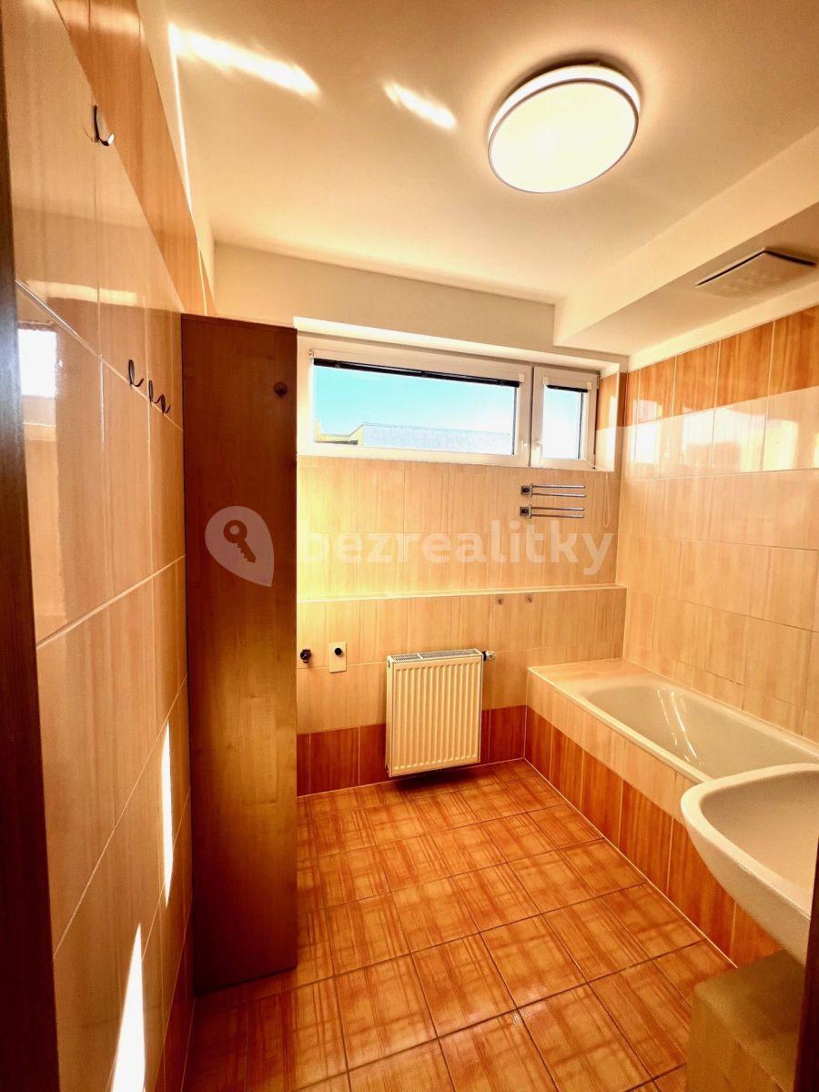 1 bedroom with open-plan kitchen flat to rent, 57 m², Václava Trojana, Prague, Prague