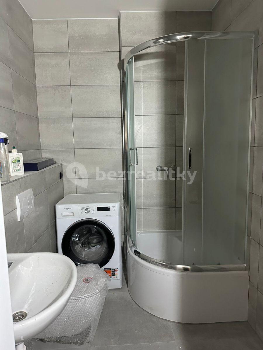 1 bedroom with open-plan kitchen flat to rent, 36 m², Křižíkova, Prague, Prague